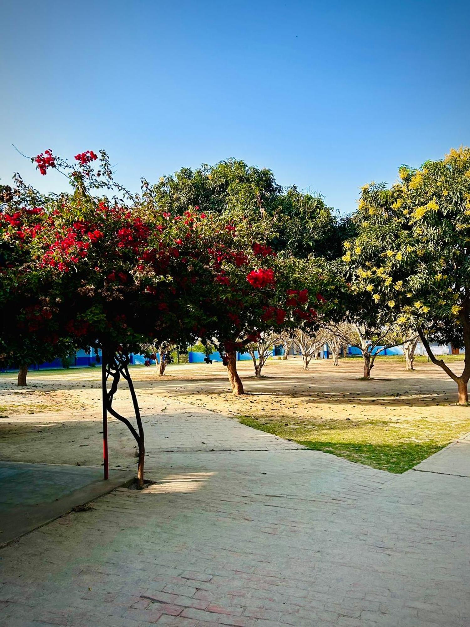 Villa Gooseberry Garden Ayodhya Exterior foto