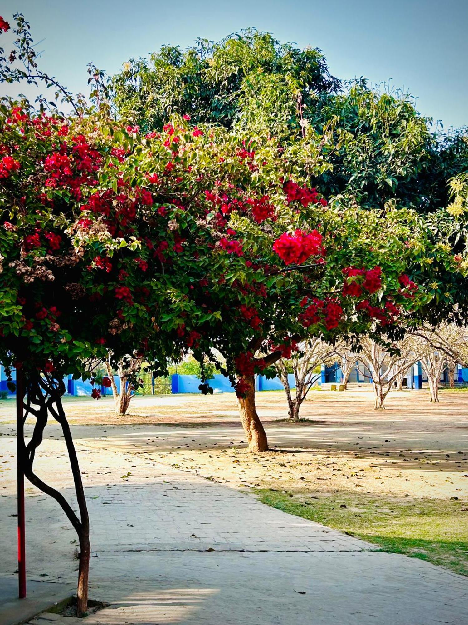 Villa Gooseberry Garden Ayodhya Exterior foto